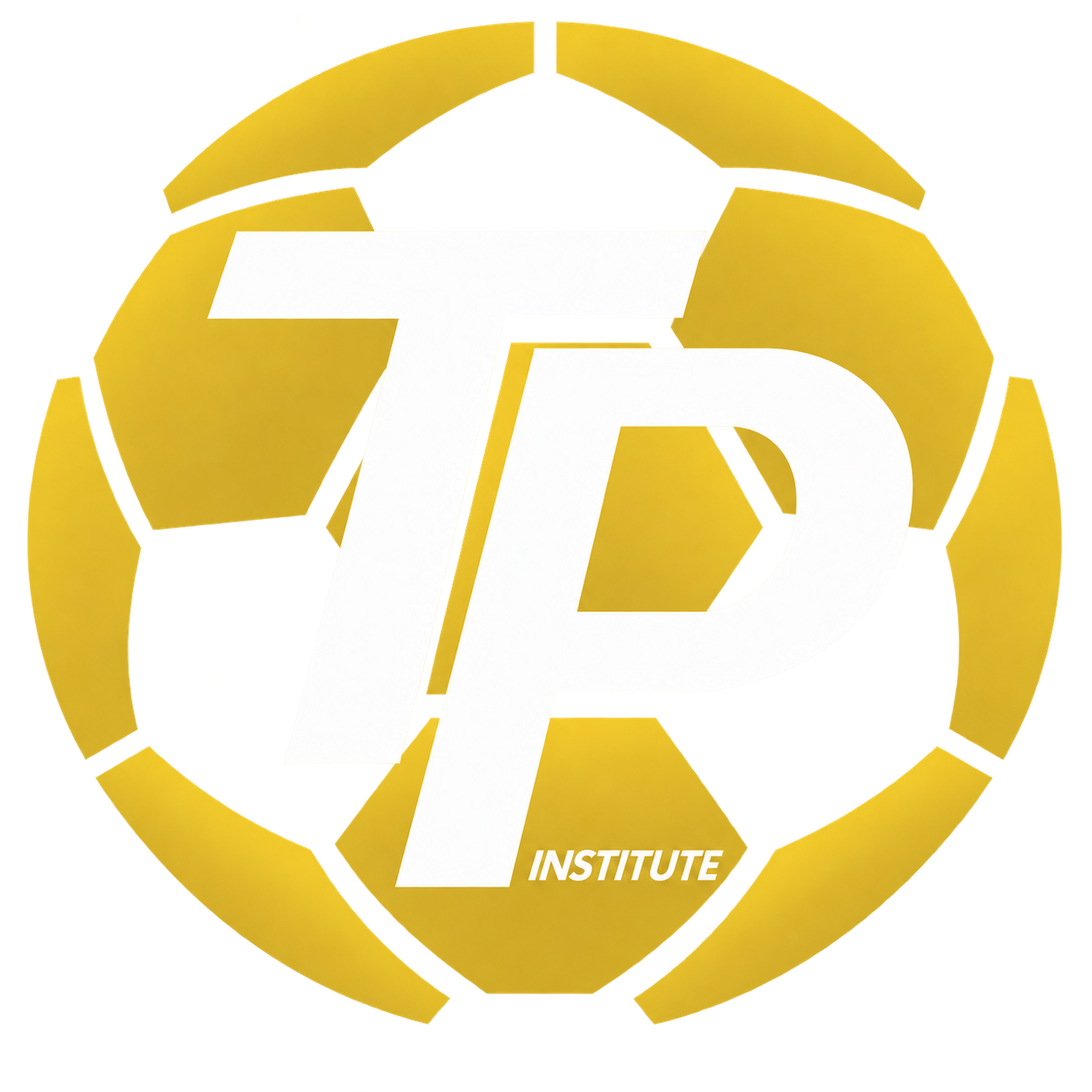 The Prodigy Institute Logo